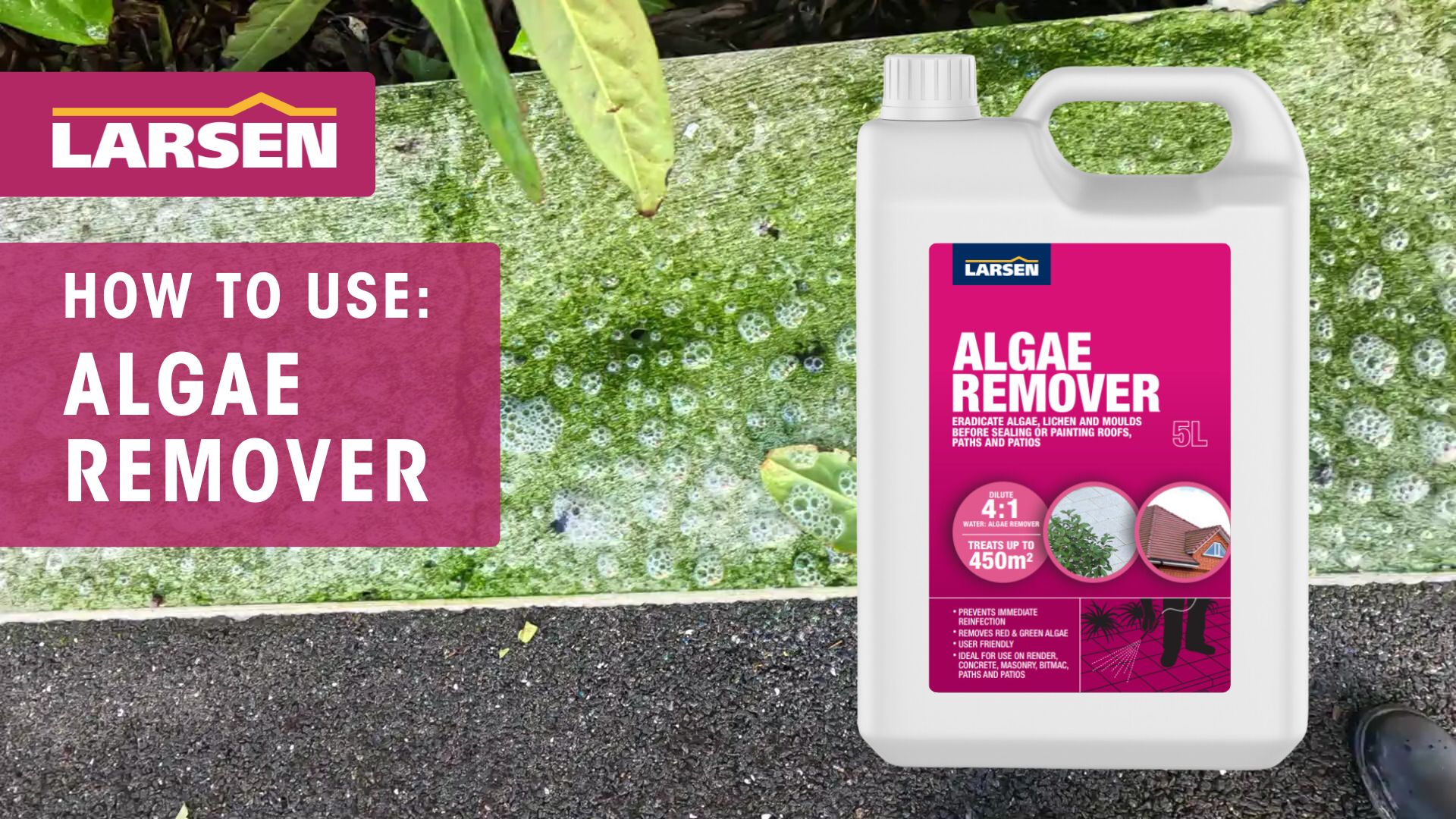 How to use Algae Remover 2025